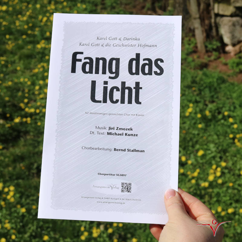 Chornoten: Fang das Licht 