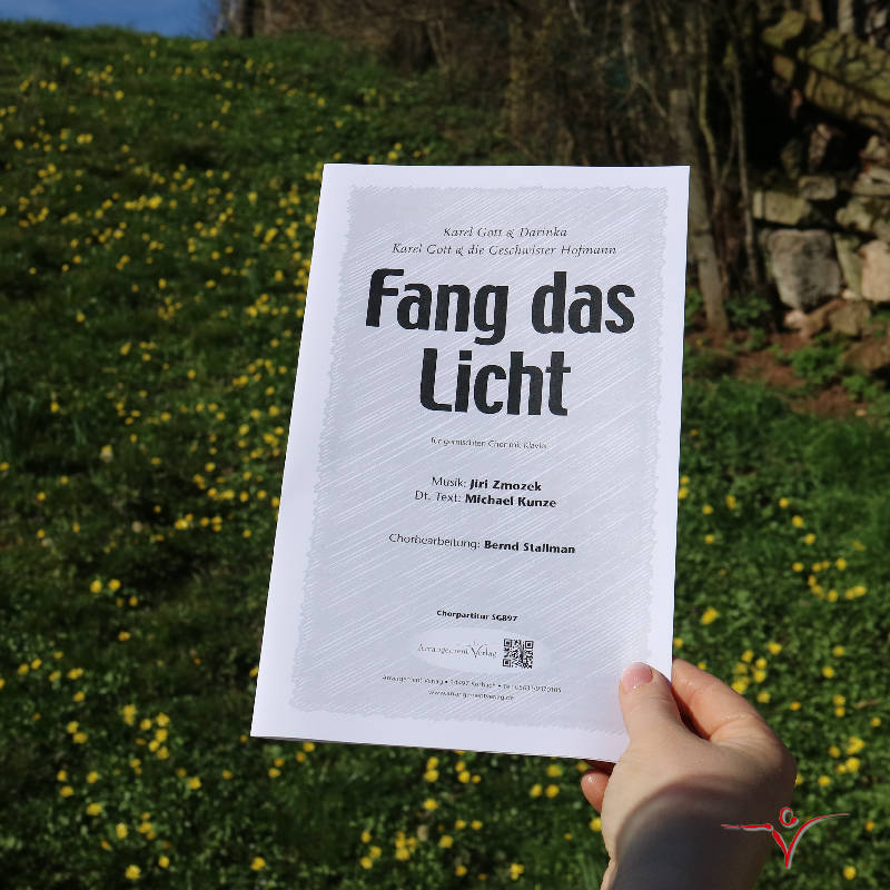 Chornoten: Fang das Licht 